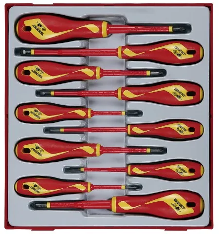 Teng Tools schroevendraaierset 1000V TTDV910N met 10 delen